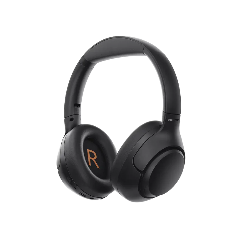 Awaaz Ace (Active Noise Cancellation)