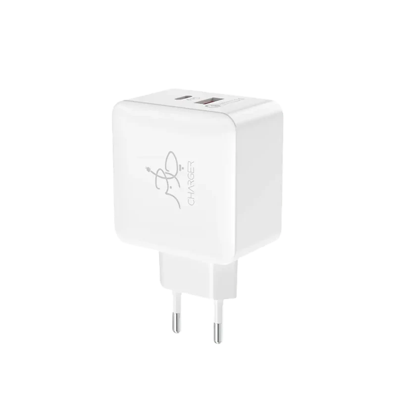 Blaze 25W PD Charger (with C to C cable)