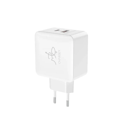 Blaze 25W PD Charger (with C to C cable)